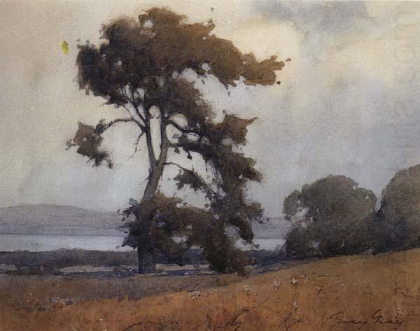 California landscape, unknow artist